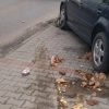Straż Miejska w Olsztynie doprowadziła do usunięcia z miejskiej przestrzeni kolejnego wraku.