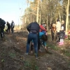 Rodziny, dzieci, gwiazdy, ale przede wszystkim kobiety – wspólnie sadzili Las Kobiet w Kudypach.