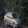 Straż Miejska ukarała mężczyznę, który podrzucił śmieci niedaleko ulicy Krasickiego w Olsztynie.